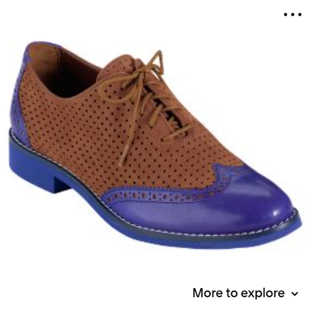 Cole Haan wingtips in brown and blue  Perforated oxfort Style Shoes Size8